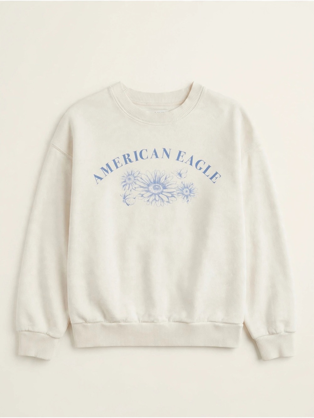 American Eagle Outfitters Cream Crewneck with Light Blue Floral Logo